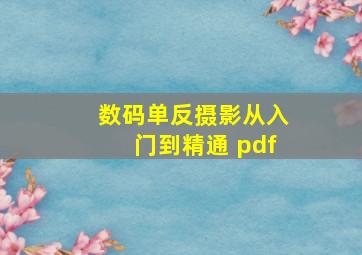 数码单反摄影从入门到精通 pdf